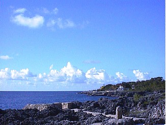 Magnificence on the cliffs at Drumville Cove in Negril Jamaica