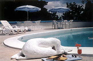 Art in Port Antonio Jamaica