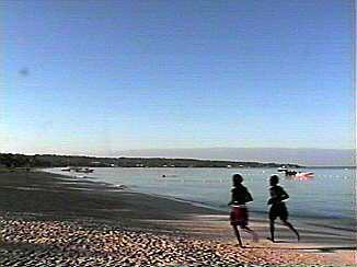 Morning Run