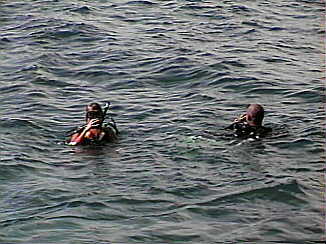 Another Certified Diver