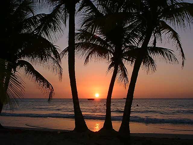 Caribbean Sunset