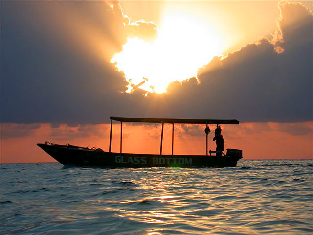 Boys of Summer Sunset