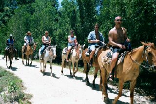 Horseback Riding