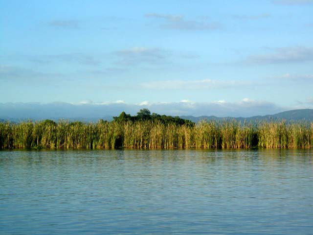 View from the Black River