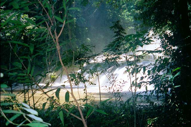 Mist Over YS Falls