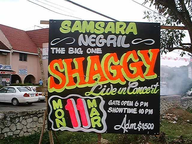 The Big One - Shaggy!