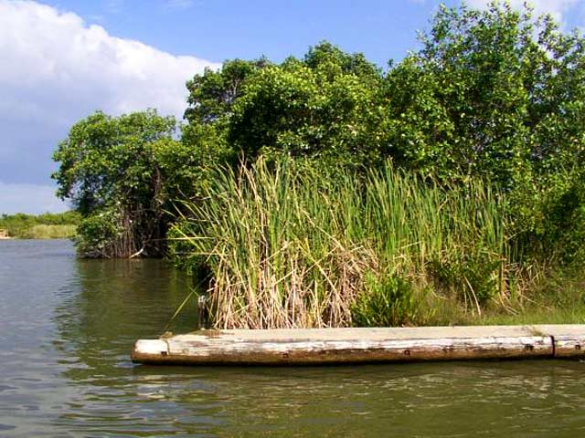 Pier on the Black River