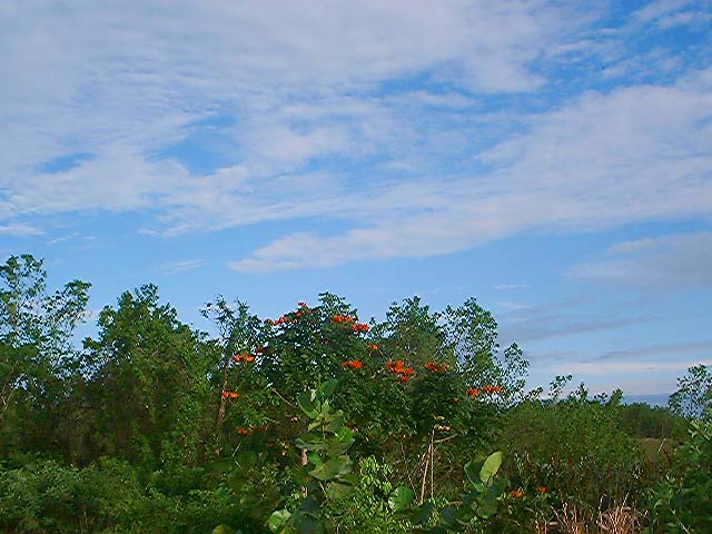 Clouds Over the Countryside