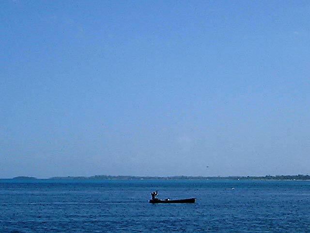 View From The Sea