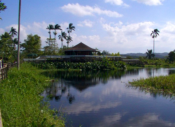 The Boardwalk View to the Reserve