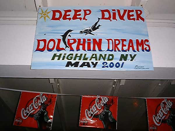 Jacko's Dolfin Dream