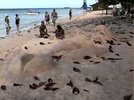 Sand Work