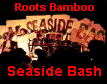 Roots Bamboo Seaside Bash