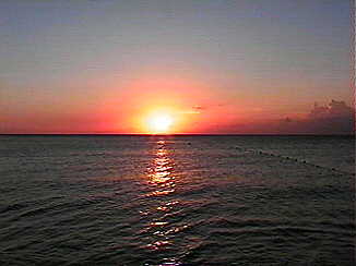 Last Night's Sunset at Negril Gardens in Negril Jamaica
