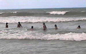 Surf