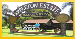 Appleton Rum Factory
