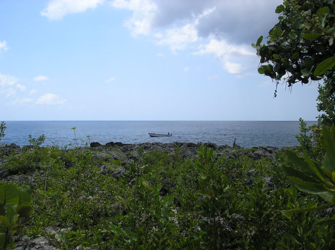 Negril West End Property for sale by owner