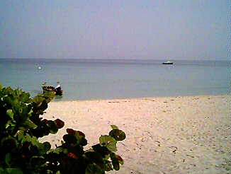 Traveller's Beach in the morning in Negril Jamaica