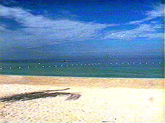 Blueout on the beach at Charela Inn in Negril Jamaica