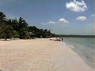 The Beach in Negril Jamaica