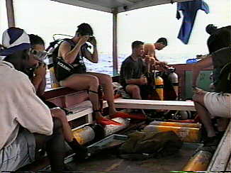 Dive Time in Negril Jamaica