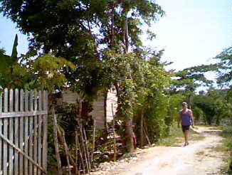 Ed at Fabulous' country place in Negril, Jamaica