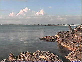 View from in front of Sunshine Village Plaza in Negril Jamaica