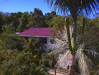 Hilltop Villas and Apartments