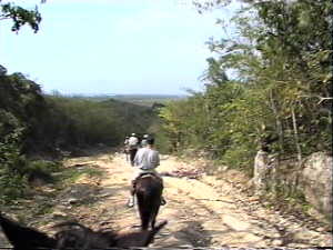 Horseback