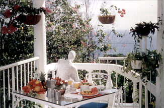 Hotel Mocking Bird Hill