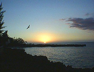 Sunset at the Internet Pub Crawl in Negril Jamaica