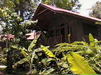 Negril Cabins Grounds