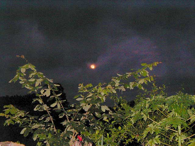 Moonrise over Negril