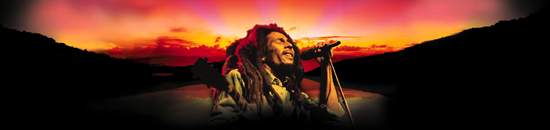 all star tribute concert