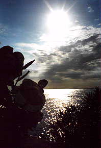 Sunset from Clay B. in Negril Jamaica