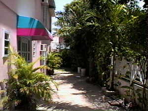 Rant n Rave Building 2