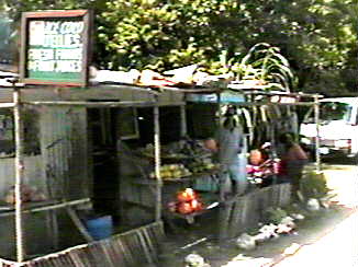 Rasta Corners in Port Antonio Jamaica