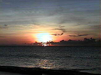 Everybody Else's Sunset