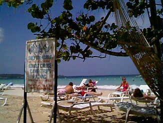 Just another day  at the Treehouse in Negril Jamaica