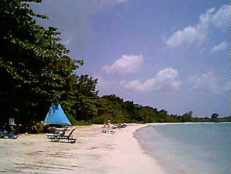 Somewhere on the beach in Negril, Jamaica